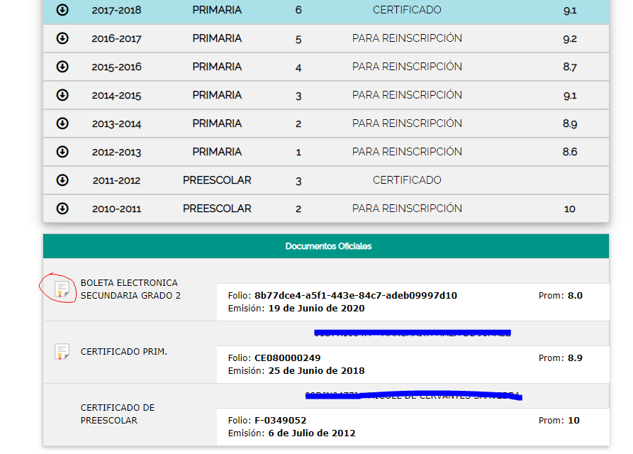 boleta3